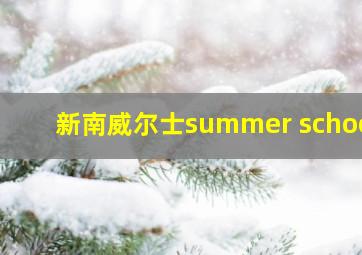 新南威尔士summer school